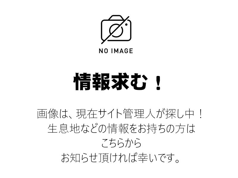 写真の利用について　当サイトの写真の著作権は全て運営者に帰属いたします。私的・公的を問わず無断利用は固くお断りいたします。なお、写真の利用や高画質データ写真の購入をご希望の方はお問合せ欄よりご連絡ください。